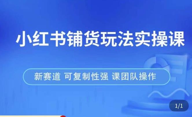 小红书铺货玩法实操课,流量大,竞争小,非常好做,新赛道,可复制性强,可团队操作-互联网资源大全网