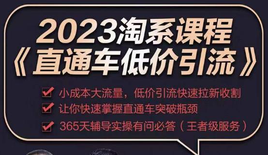 2023直通车低价引流玩法课程,小成本大流量,低价引流快速拉新收割,让你快速掌握直通车突破瓶颈-互联网资源大全网