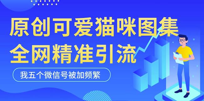黑科技纯原创可爱猫咪图片,全网精准引流,实操5个VX号被加频繁-互联网资源大全网