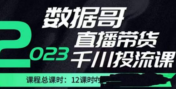 数据哥2023直播电商巨量千川付费投流实操课,快速掌握直播带货运营投放策略-互联网资源大全网