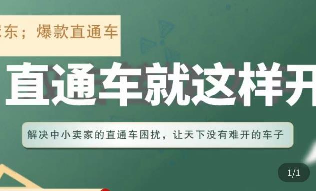 冠东·淘系直通车保姆级教程，全面讲解直通车就那么简单-互联网资源大全网