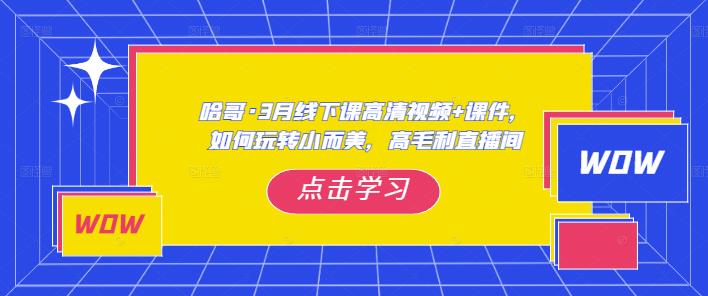 哈哥·3月线下实操课高清视频+课件,如何玩转小而美,高毛利直播间-互联网资源大全网