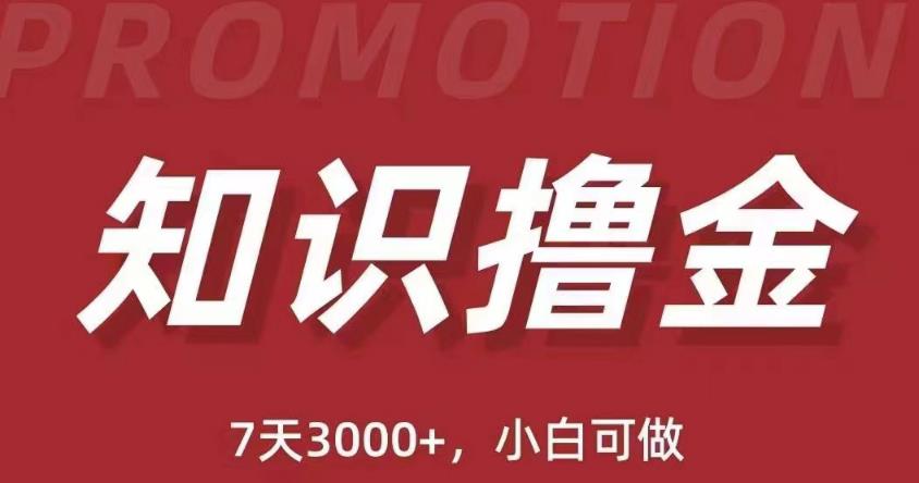 抖音知识撸金项目：简单粗暴日入1000+执行力强当天见收益(教程+资料)-互联网资源大全网