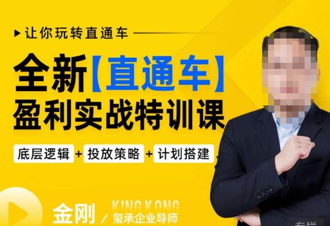 玺承·全新直通车盈利实战特训课,从底层逻辑详细拆解,从底层,策略到搭建,让你玩转直通车-互联网资源大全网