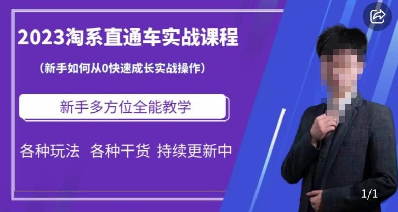 2023淘系直通车保姆式运营讲解,新手如何从0快速成长实战操作,新手多方位全能教学-第一资源库