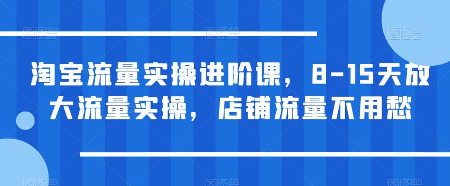 淘宝流量实操进阶课,8-15天放大流量实操,店铺流量不用愁-互联网资源大全网