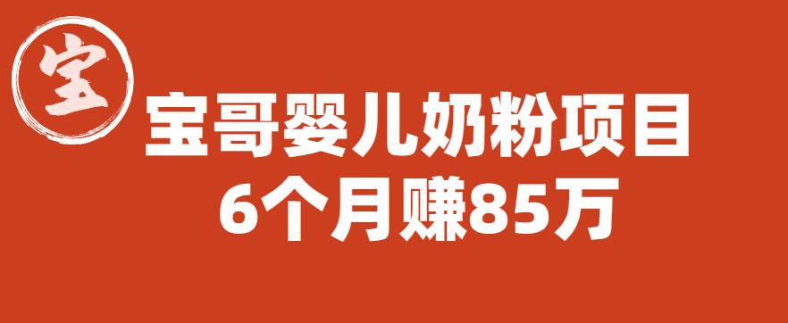 宝哥婴儿奶粉项目,6个月赚85w【图文非视频】【揭秘】-互联网资源大全网