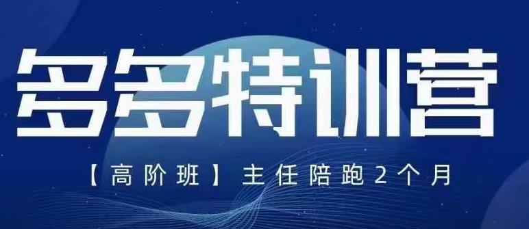 纪主任·5月最新多多特训营高阶班,玩法落地实操,多多全掌握-互联网资源大全网