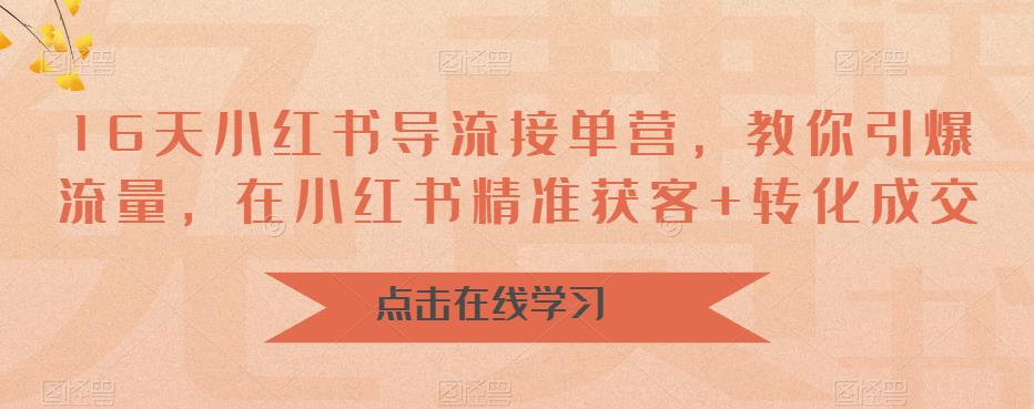16天小红书导流接单营,教你引爆流量,在小红书精准获客+转化成交-互联网资源大全网