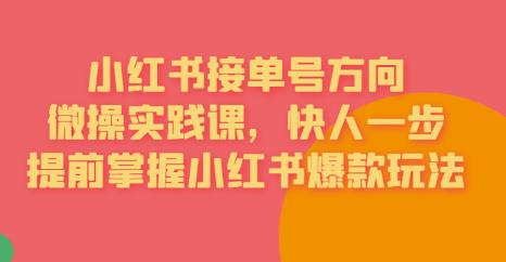 接单号方向·小红书微操实践课,快人一步,提前掌握小红书爆款玩法-第一资源库