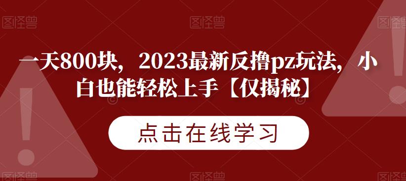 一天800块,2023最新反撸pz玩法,小白也能轻松上手【仅揭秘】-互联网资源大全网