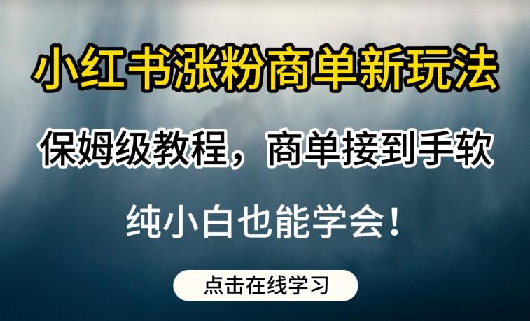 小红书涨粉商单新玩法,保姆级教程,商单接到手软,纯小白也能学会【揭秘】-互联网资源大全网