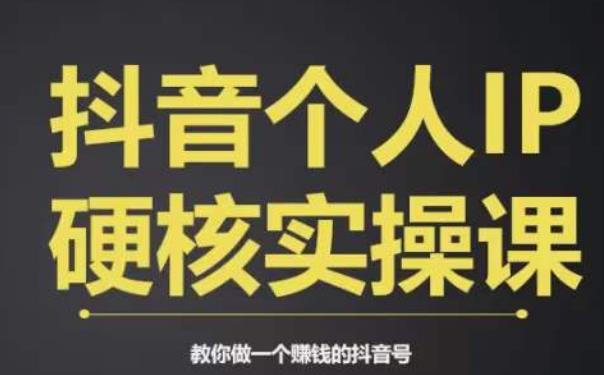 个人IP创富系统实战课,商业定位,流量打造,短视频变现,教你做个赚钱的抖音号-互联网资源大全网
