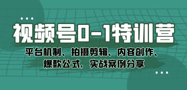 视频号0-1特训营:平台机制、拍摄剪辑、内容创作、爆款公式,实战案例分享-互联网资源大全网
