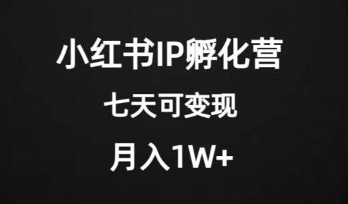 价值2000+的小红书IP孵化营项目,超级大蓝海,七天即可开始变现,稳定月入1W+-互联网资源大全网