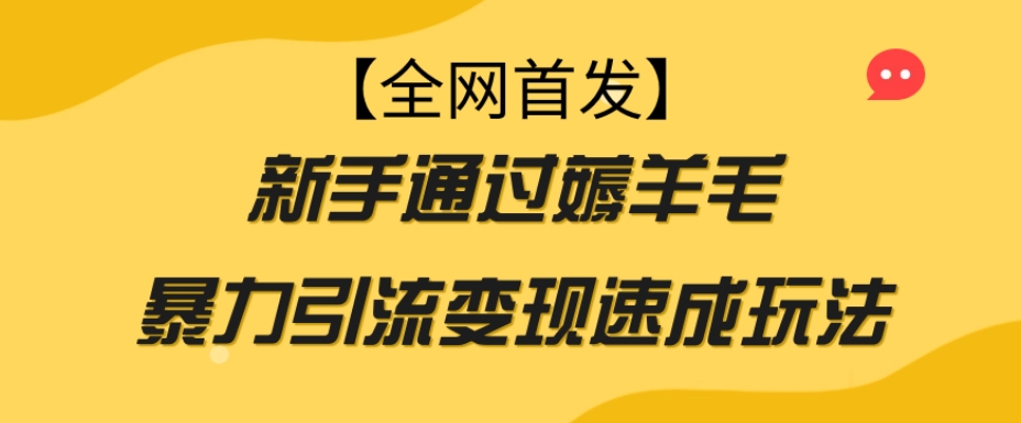 【全网首发】新手通过薅羊毛暴力引流变现速成玩法-互联网资源大全网
