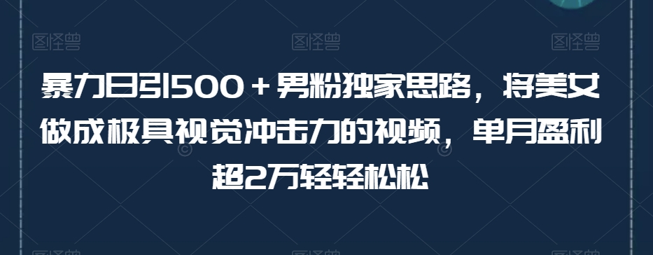 暴力日引500+男粉独家思路,将美女做成极具视觉冲击力的视频,单月盈利超2万轻轻松松-互联网资源大全网