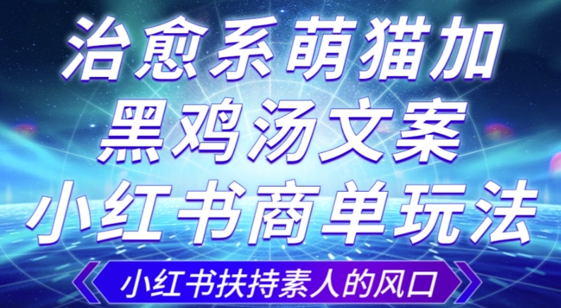 治愈系萌猫加+黑鸡汤文案,小红书商单玩法,3~10天涨到1000粉,一单200左右-互联网资源大全网