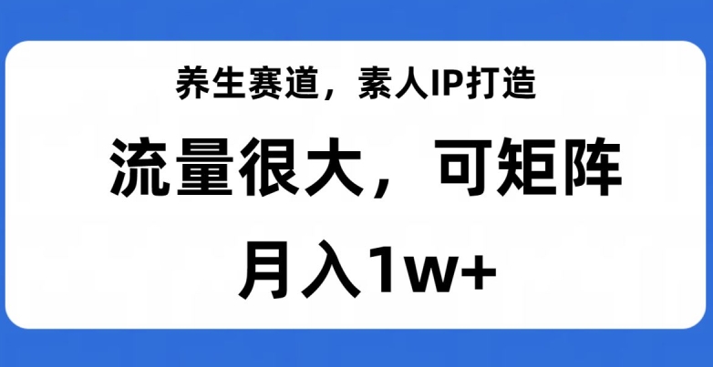 养生赛道，素人IP打造，流量很大，可矩阵，月入1w+【揭秘】-互联网资源大全网