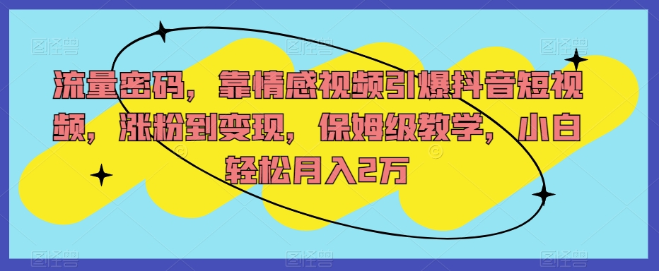 流量密码,靠情感视频引爆抖音短视频,涨粉到变现,保姆级教学,小白轻松月入2万【揭秘】-互联网资源大全网