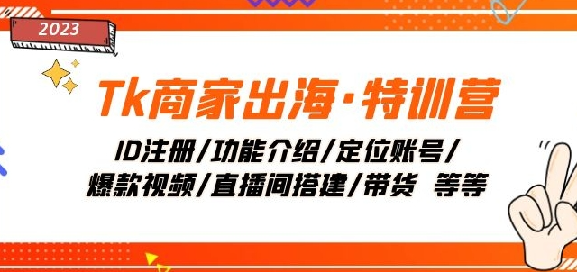 Tk商家出海·特训营:ID注册/功能介绍/定位账号/爆款视频/直播间搭建/带货-互联网资源大全网