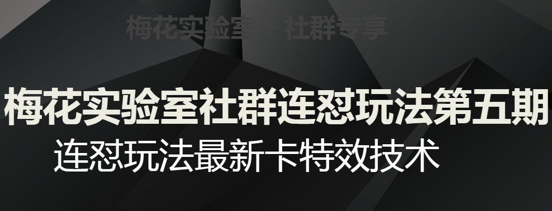梅花实验室社群连怼玩法第五期，视频号连怼玩法最新卡特效技术-互联网资源大全网