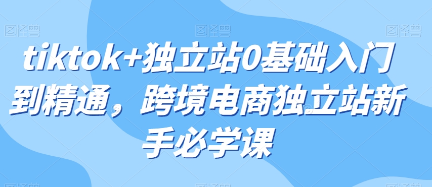 tiktok+独立站0基础入门到精通,跨境电商独立站新手必学课-第一资源库