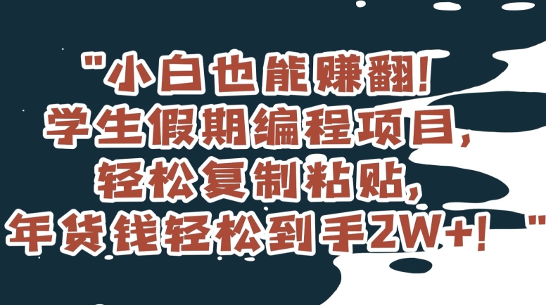 小白也能赚翻!学生假期编程项目,轻松复制粘贴,年货钱轻松到手2W+【揭秘】-第一资源库