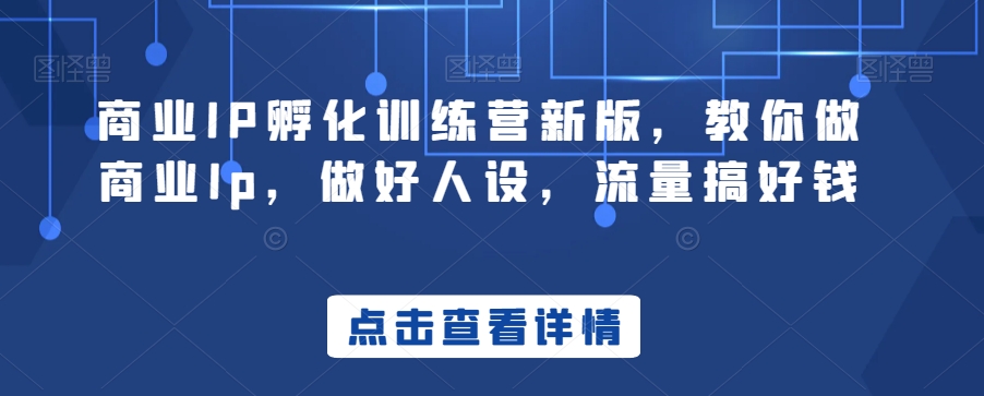 商业IP孵化训练营新版,教你做商业Ip,做好人设,流量搞好钱-互联网资源大全网