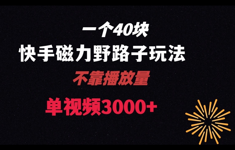 一个40块，快手联合美团磁力新玩法，无视机制野路子玩法，单视频收益4位数【揭秘】-互联网资源大全网