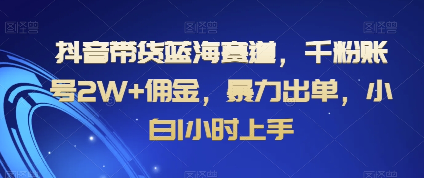 抖音带货蓝海赛道，千粉账号2W+佣金，暴力出单，小白1小时上手【揭秘】-互联网资源大全网