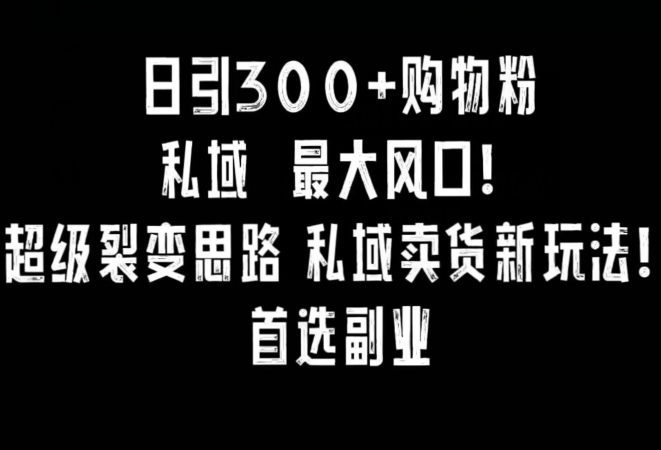 日引300+购物粉，超级裂变思路，私域卖货新玩法，小红书首选副业【揭秘】-互联网资源大全网
