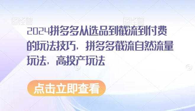 2024拼多多从选品到截流到付费的玩法技巧,拼多多截流自然流量玩法,高投产玩法-第一资源库