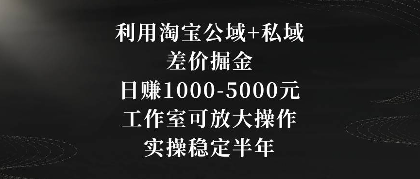 利用淘宝公域+私域差价掘金,日赚1000-5000元,工作室可放大操作,实操稳定半年【揭秘】-互联网资源大全网