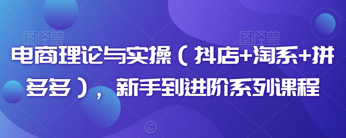 电商理论与实操(抖店+淘系+拼多多),新手到进阶系列课程-互联网资源大全网