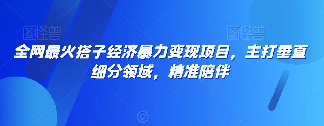 全网最火搭子经济暴力变现项目，主打垂直细分领域，精准陪伴【揭秘】-互联网资源大全网