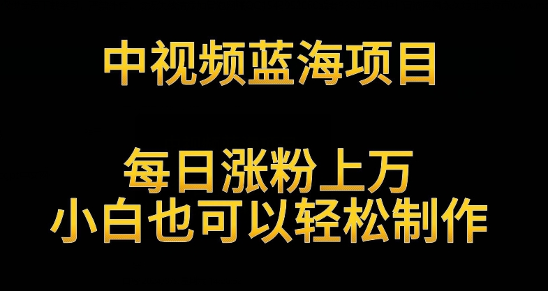 中视频蓝海项目,解读英雄人物生平,每日涨粉上万,小白也可以轻松制作,月入过万不是梦【揭秘】-互联网资源大全网