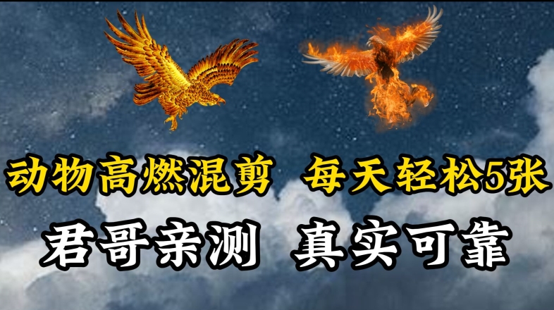动物超燃混剪，每天轻松5张，剪辑简单大家爱看【揭秘】-互联网资源大全网