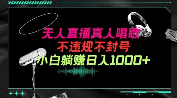 抖音24小时无人直播音乐,不违规,不封号纯撸音浪,小白实操当天日入1000+【揭秘】-第一资源库