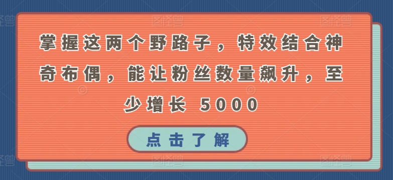 掌握这两个野路子,特效结合神奇布偶,能让粉丝数量飙升,至少增长 5000【揭秘】-第一资源库