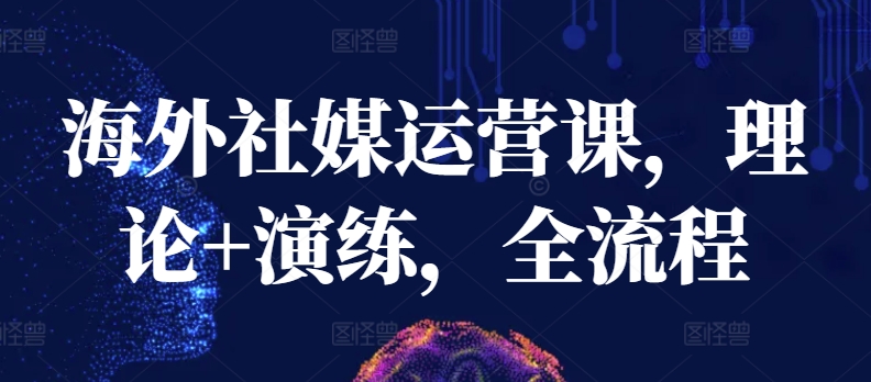 海外社媒运营课，理论+演练，全流程-互联网资源大全网
