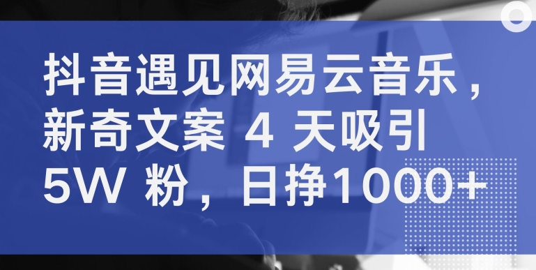 抖音遇见网易云音乐,新奇文案 4 天吸引 5W 粉,日挣1000+【揭秘】-互联网资源大全网