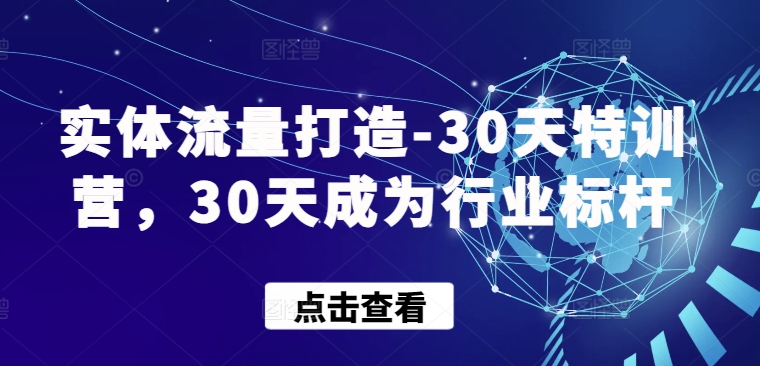 实体流量打造-30天特训营，30天成为行业标杆-互联网资源大全网