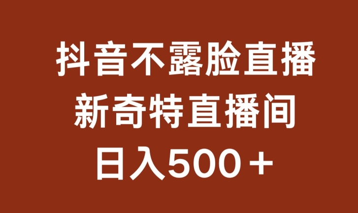 不露脸挂机直播,新奇特直播间,日入500+【揭秘】-互联网资源大全网