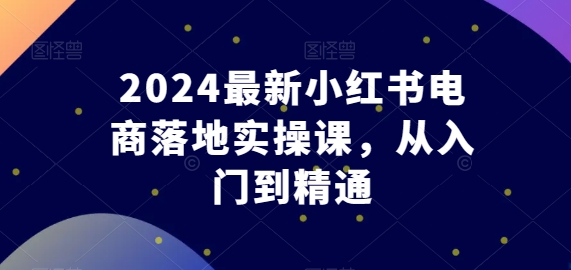 2024最新小红书电商落地实操课,从入门到精通-互联网资源大全网