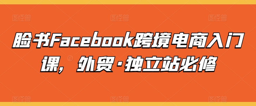脸书Facebook跨境电商入门课，外贸·独立站必修-互联网资源大全网