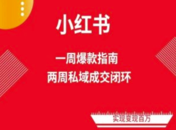 爆款小红书免费流量体系课程(两周变现),小红书电商教程-互联网资源大全网