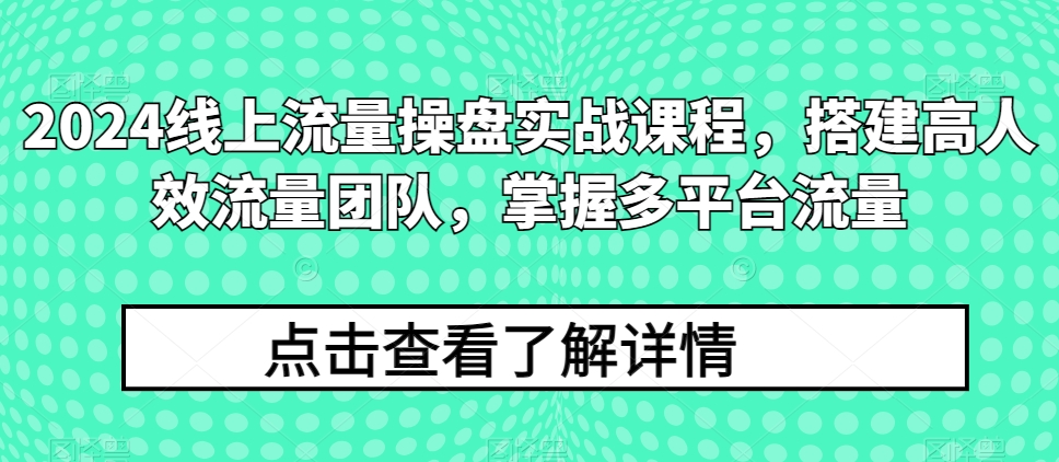 2024线上流量操盘实战课程,搭建高人效流量团队,掌握多平台流量-互联网资源大全网