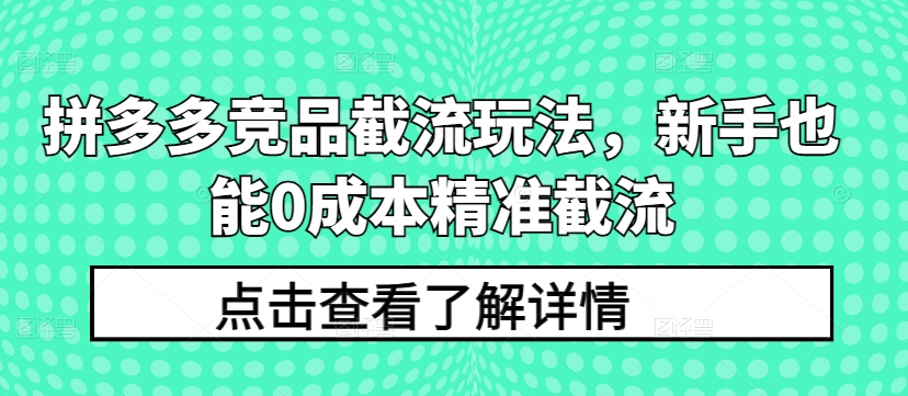 拼多多竞品截流玩法，新手也能0成本精准截流-互联网资源大全网