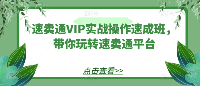 速卖通VIP实战操作速成班,带你玩转速卖通平台-互联网资源大全网